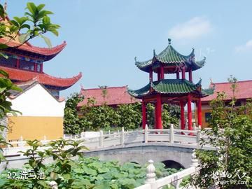 仙桃沔城旅游区-洗马池照片