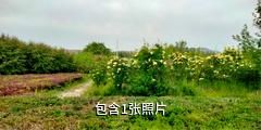 乌鲁木齐燕尔窝风景区驴友相册