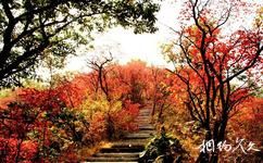 三門峽甘山國家森林公園旅遊攻略之秋之景