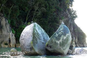 新西兰阿贝尔·塔斯曼国家公园-裂开的苹果石头照片