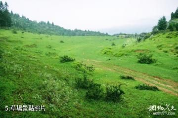重慶彭水摩圍山-草場照片