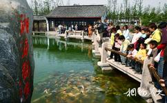 杭州湘湖旅遊攻略之湘浦觀魚