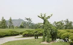 上海辰山植物园旅游攻略之植物造型园