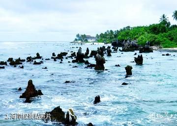 諾魯-海岸線照片