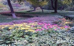 唐山大城山公園旅游攻略之植物栽培區(qū)