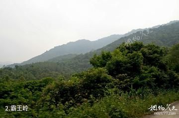 海南霸王岭国家森林公园-霸王岭照片