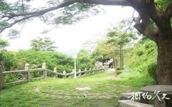 珠海香山公园旅游攻略之绿化