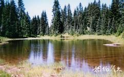 美國落基山脈國家公園旅遊攻略之大角羊湖
