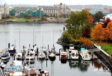 加拿大维多利亚市-维多利亚港照片