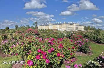 拉脱维亚隆黛尔宫-公爵玫瑰园照片