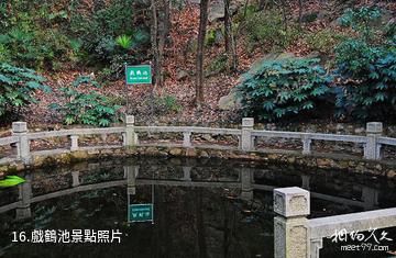 蘇州何山公園-戲鶴池照片
