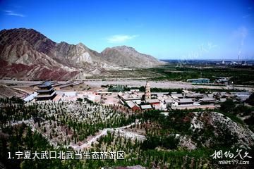宁夏大武口北武当生态旅游区照片