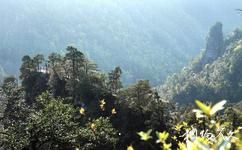 廣西大明山國家級自然保護區旅遊攻略之仙人台