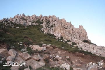 大同六棱山景区-汉白玉石林照片