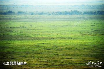 黑龍江洪河國家級自然保護區-生態照片