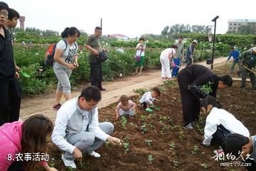 黑龙江农业经济职业学院芍菊古苑景区-农事活动照片