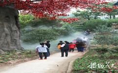 蓬溪中国红海生态旅游攻略之红枫屏