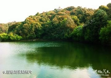 臨滄五老山國家森林公園-鹿戀湖照片