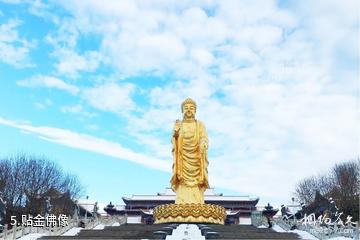 乌鲁木齐红光山景区-贴金佛像照片