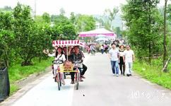 遂寧安居七彩明珠旅遊攻略之觀光自行車