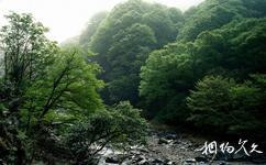 米仓山国家森林公园旅游攻略之大小兰沟