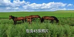 西烏旗烏蘭五台旅遊景區驢友相冊