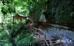 重庆江津四面山国家森林公园旅游攻略之卧龙沟