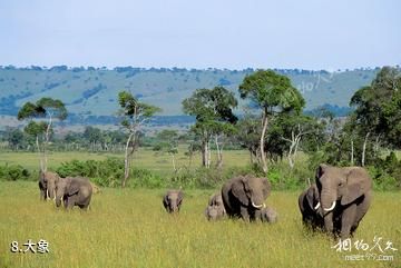 肯尼亚马赛马拉国家保护区-大象照片