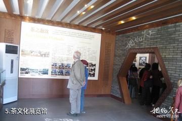新昌中国茶市-茶文化展览馆照片