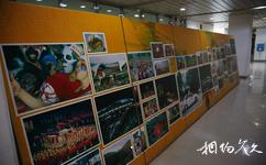 首尔世界杯体育场旅游攻略之纪念照片墙