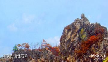 吉林干饭盆景区-长白山怪石阵照片