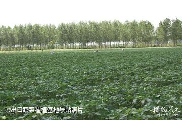 江蘇永豐林農業生態園-出口蔬菜種植基地照片