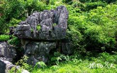 廣西香橋岩旅遊攻略之石林