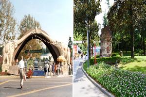 上海长宁旅游攻略-长宁区景点排行榜