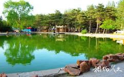 赤峰市植物园旅游攻略之水上乐园