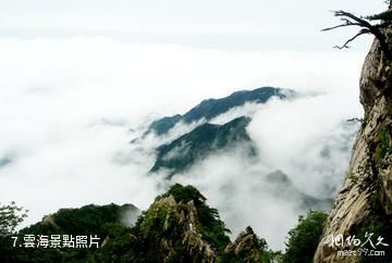 安徽萬佛山國家森林公園-雲海照片