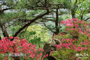 信陽市黃柏山國家森林公園-小黃山照片