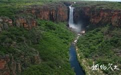 澳大利亚卡卡杜国家公园旅游攻略之原始森林