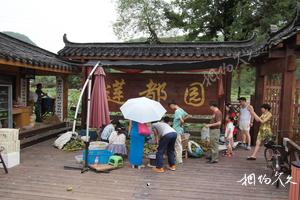 浙江麗水蓮都老竹旅遊景點大全