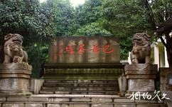 重慶巴岳山―西溫泉旅遊攻略之茶園