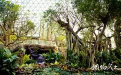 青岛百果山世界园艺博览会旅游攻略之植物馆
