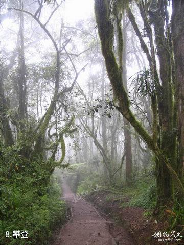 乞力马扎罗山风景区-攀登照片