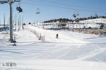 龙井马蹄山旅游度假区-滑雪场照片