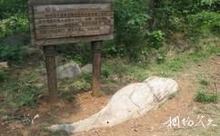 南京金牛湖旅游攻略之鯉魚(yú)上山