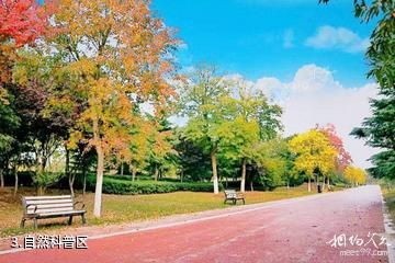 亳州林拥城-自然科普区照片