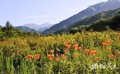 陝西長青國家級自然保護區旅遊攻略之春景