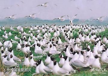 鄂爾多斯市綠洲賓館旅遊區-世珍園照片