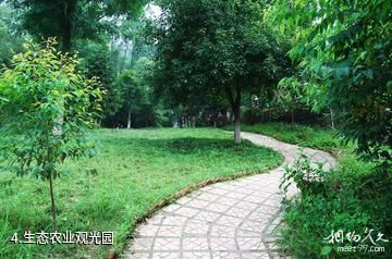 重庆永川卫星湖-生态农业观光园照片