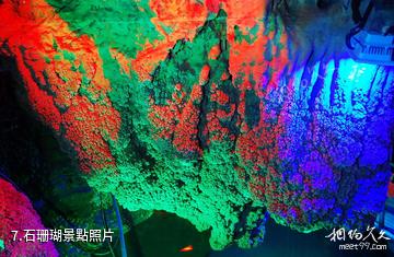 通化雲霞洞-石珊瑚照片