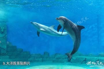 重慶漢海海洋公園-大洋館照片